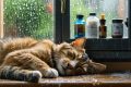 Image depicting a cat and dog resting peacefully by a rain-splattered window, with vaping supplies safely stored in a locked cabinet in the background, illustrating a pet-friendly home environment.